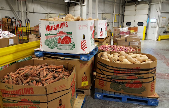 Large food donation bins containing carrots, apples, and squash.
