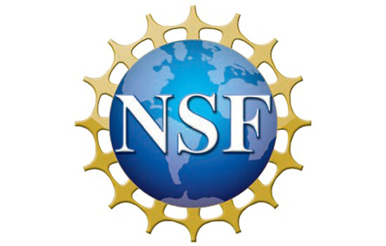 Logo for "National Science Foundation"