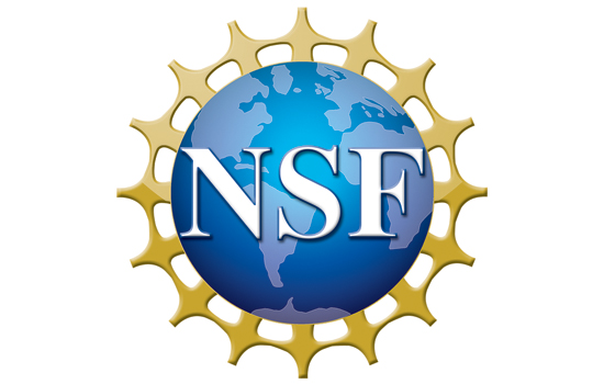NSF logo. White text saying "NSF" on top of a blue globe with gold crowning.