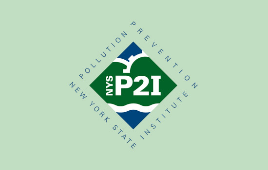 NYSP2I logo