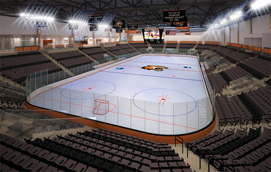 Hockey Arena Size