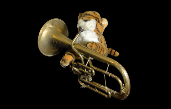 Picture of Stuffed animal and instrument
