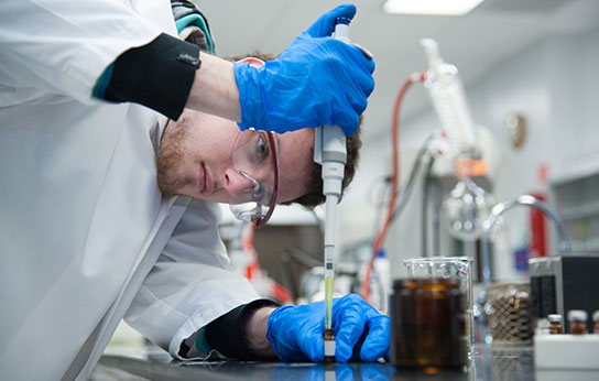 Scientist working in laboratory 