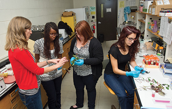 People gathered in lab