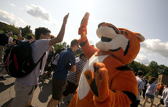 Tiger Mascot High Fiving people