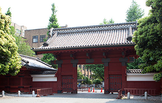 Picture of Red gateway