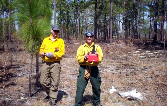 Two people standing in burnt woods