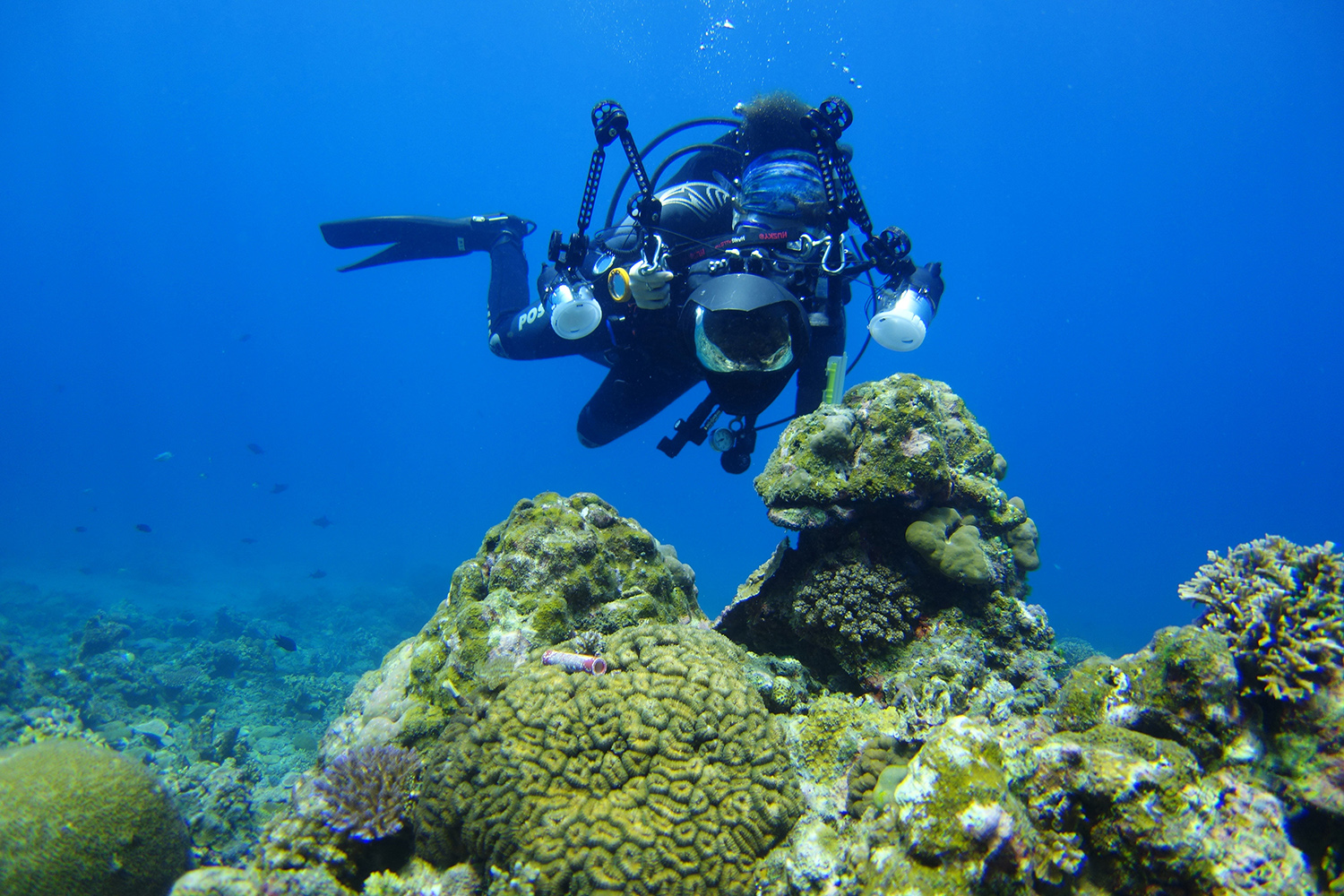 a scuba diver taking photos of coral underwater.