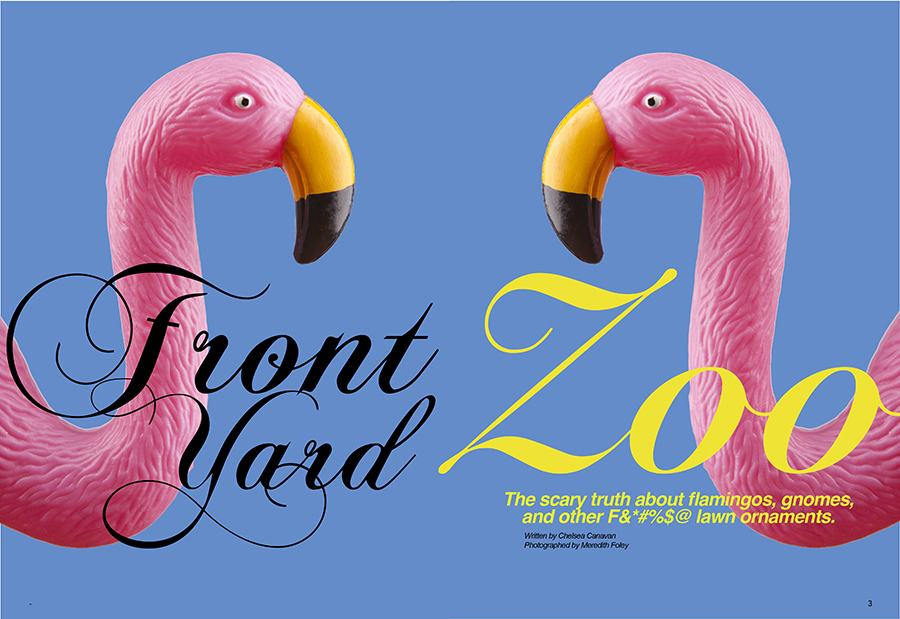 The cover  of the magazine featuring two plastic flamingos looking at each other