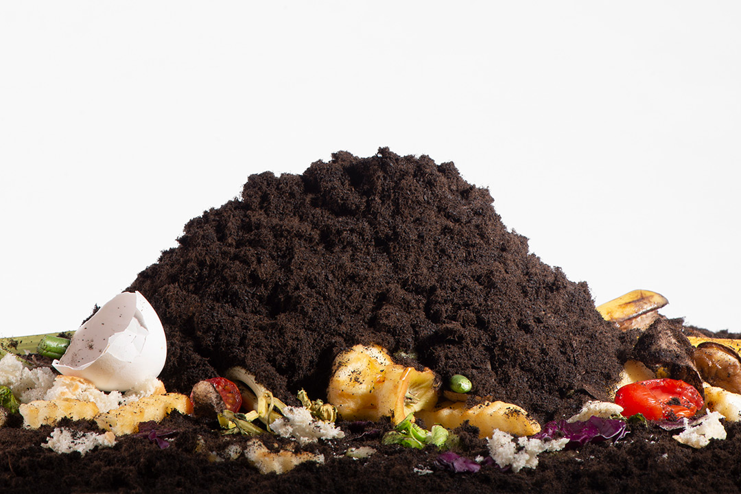 Food scraps and pile of dirt.