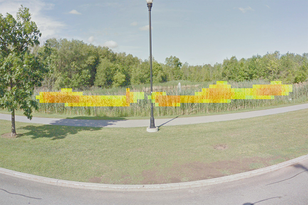 A marsh next to a roadside with green, yellow and orange blocks superimposed over plants.