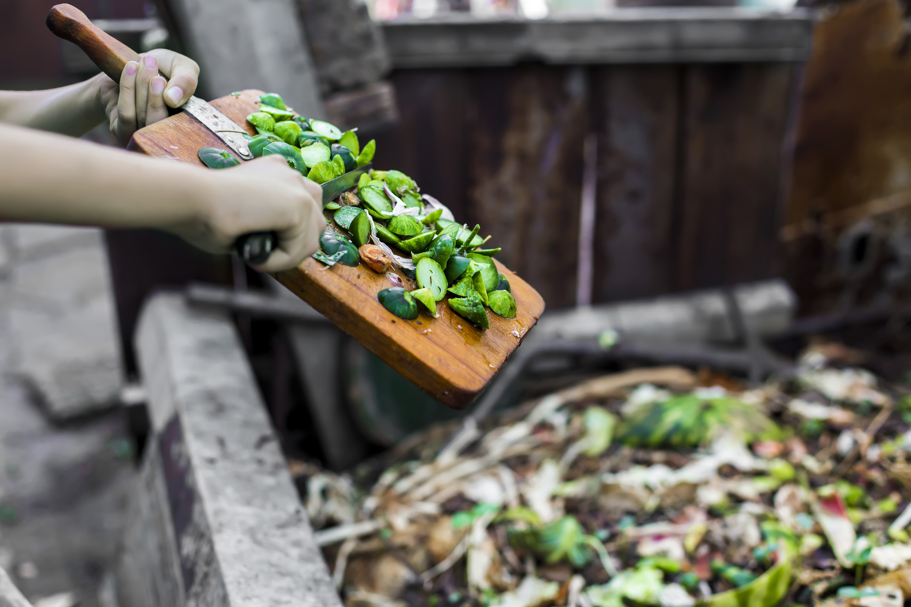 'Food waste being dumped'