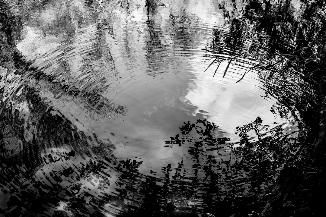 Black and white overhead view of water with ripples and a reflection of trees