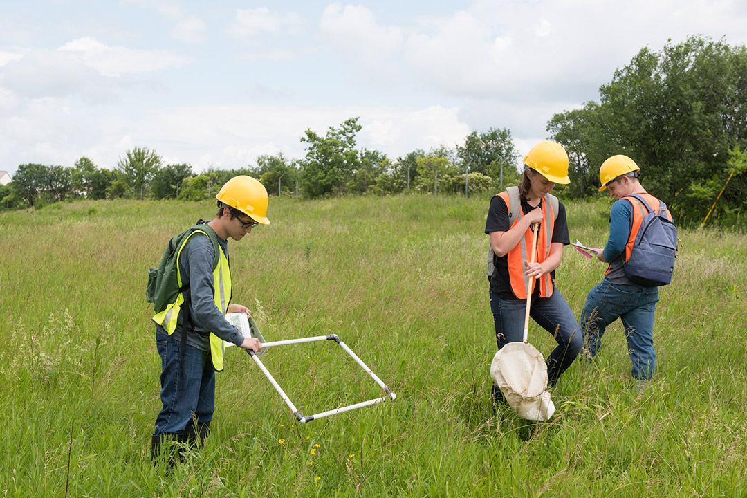 Students wearing high-visibility vests and safety helmets survey a field.