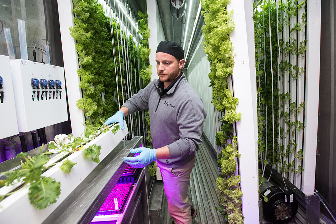 Staff member stands in upcycled freight container being used as a hydroponic farm.