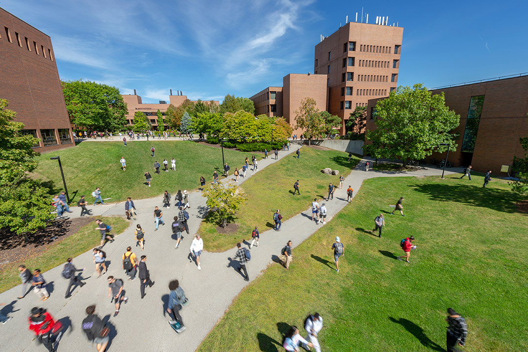 Students walking across walkway and lawn between brick buildings.