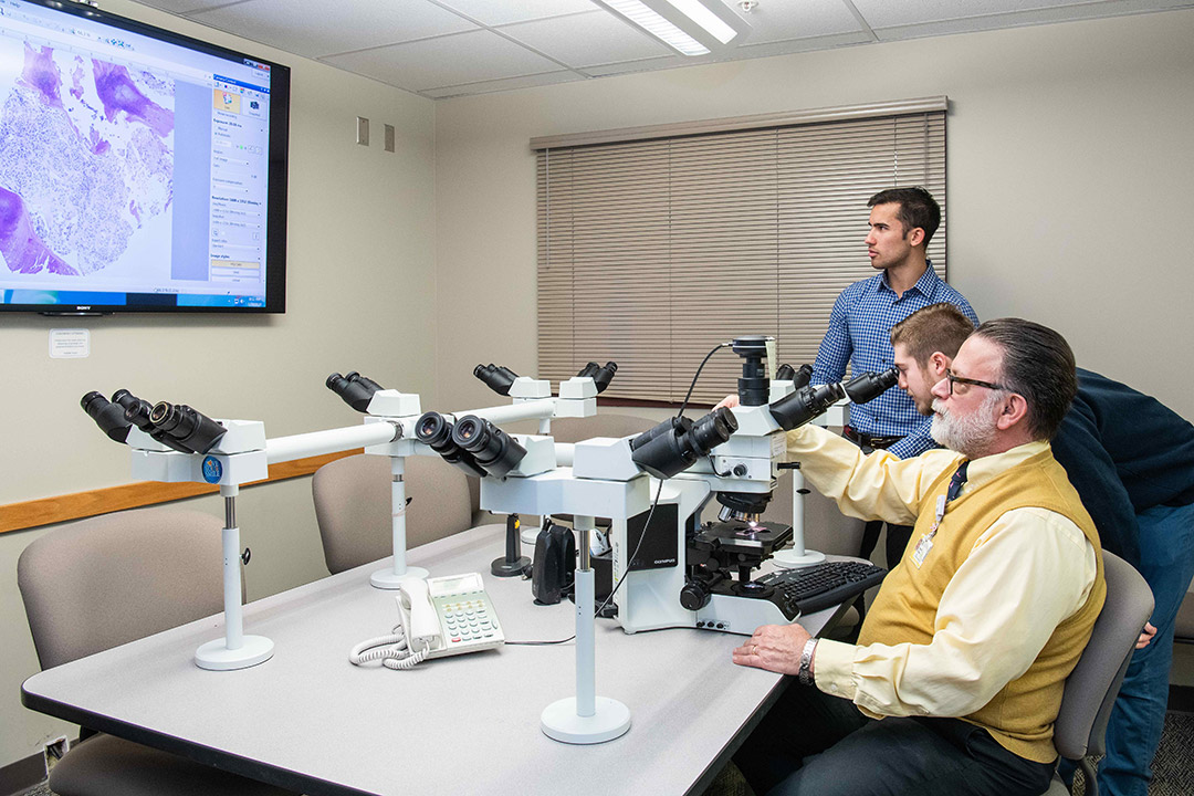 reseachers looking into microscopes with results showing on TV screen.