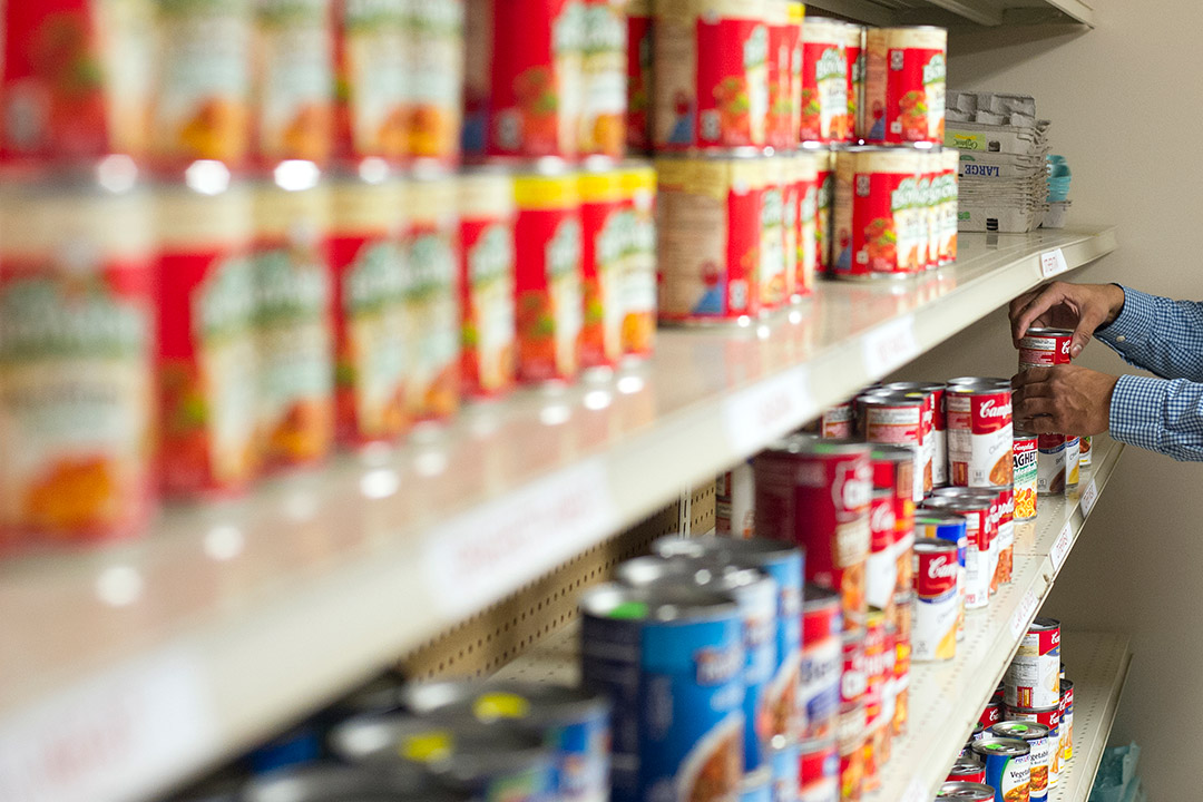 shelves with rows of canned goods.