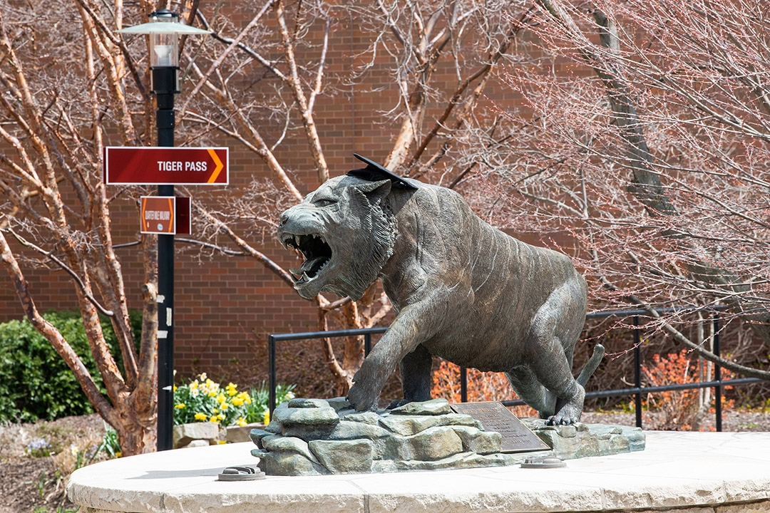 tiger statue wearing graduation cap.