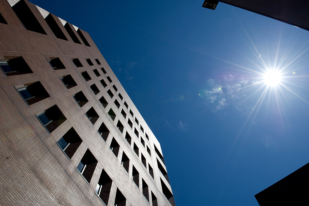 looking up side of brick building at sunny sky.