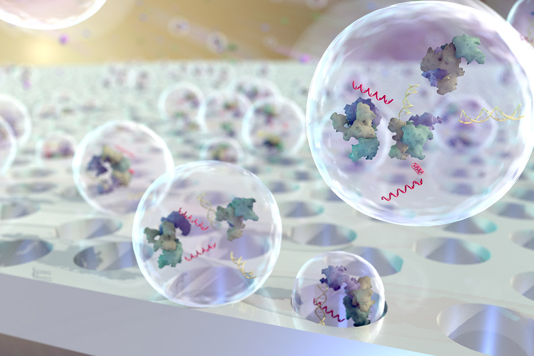 illustration of round cells fitting into holes on a surface.