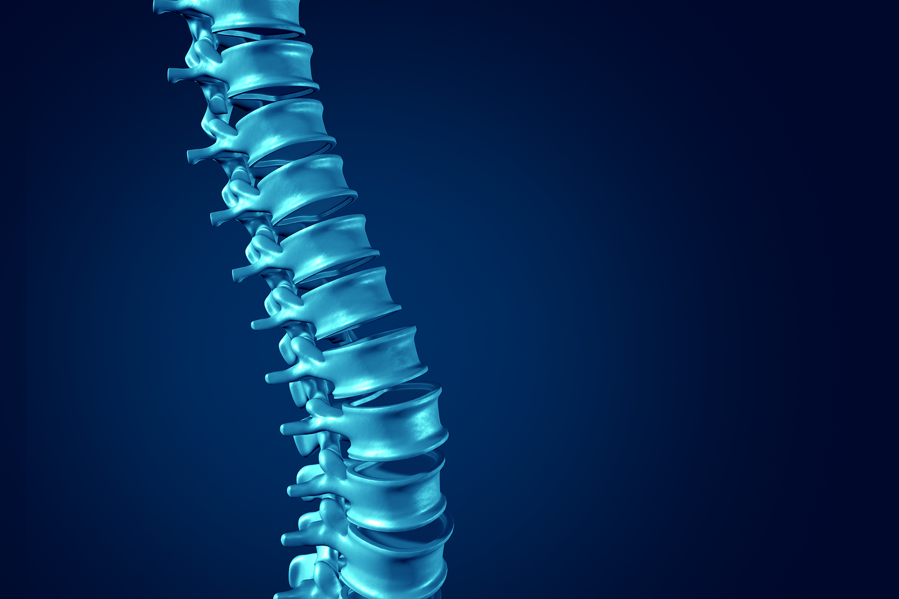 closeup of discs in a spine