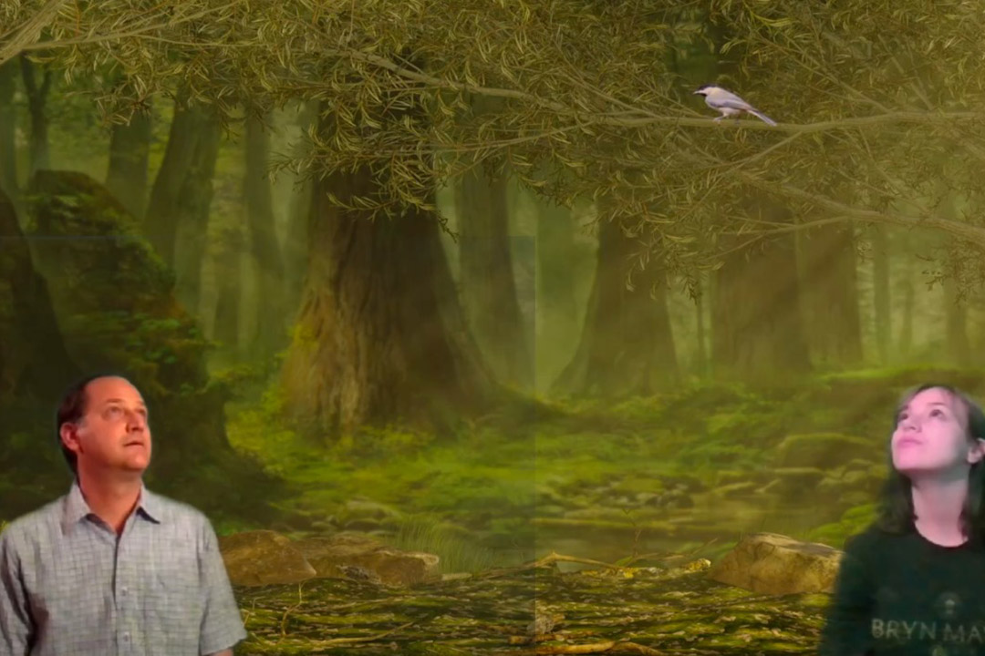 screenshot from a virtual play, where a man and a woman look up at a bird on a tree branch.