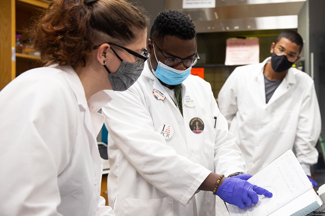 professor working with two students in a biology lab