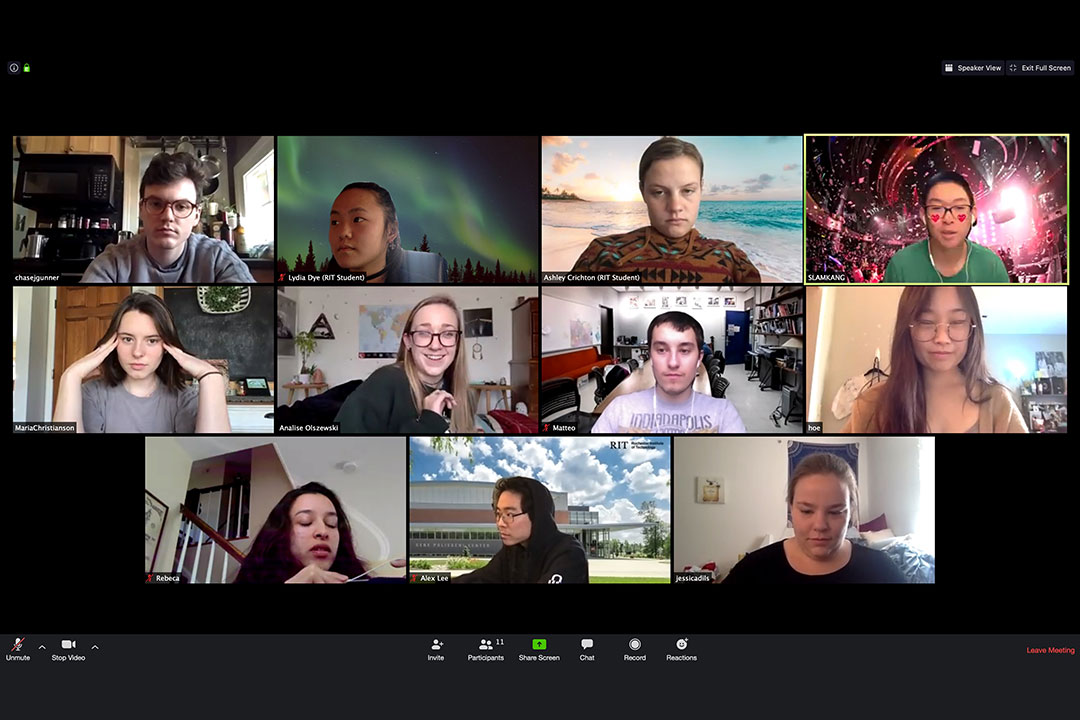 screenshot of 11 people in a Zoom virtual meeting.