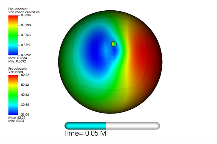 Color map of the curvature on the large black hole horizon generated by the near merging small black hole.