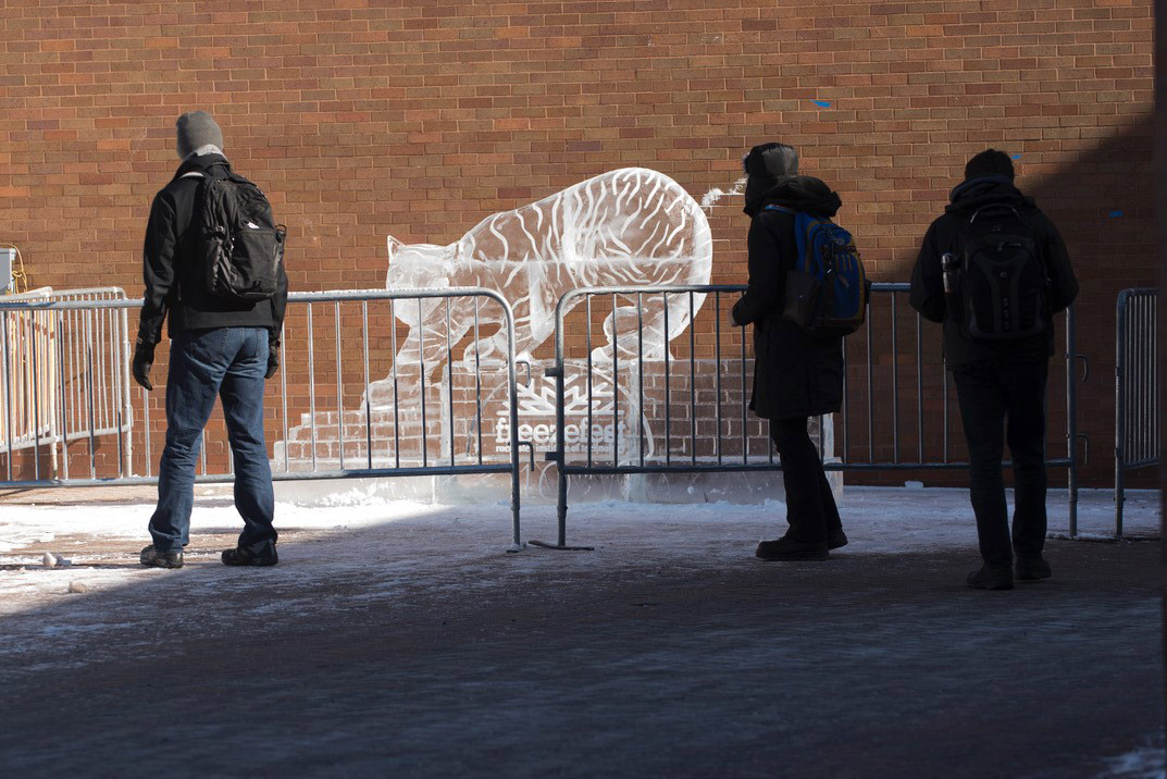 students walking outside next to an ice sculpture of a tiger.