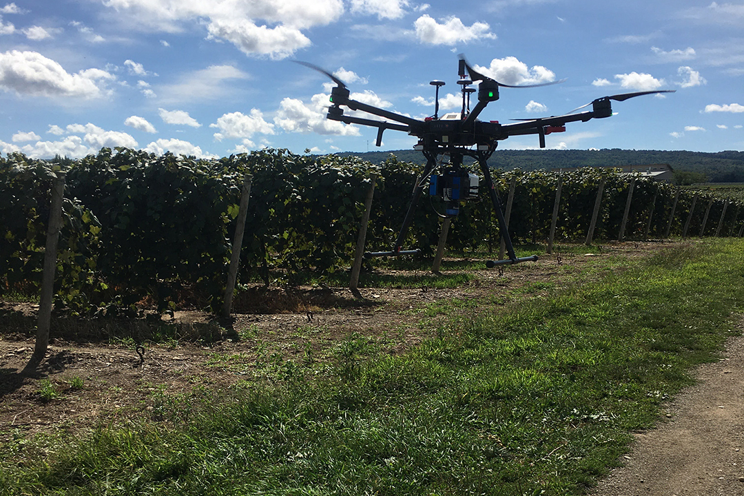 of a drone flying over a vineyard.