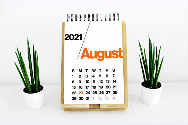 illustration showing the August 2021 calendar in between two potted plants.