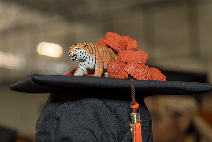 graduation cap with tiger toy and fake orange bricks.