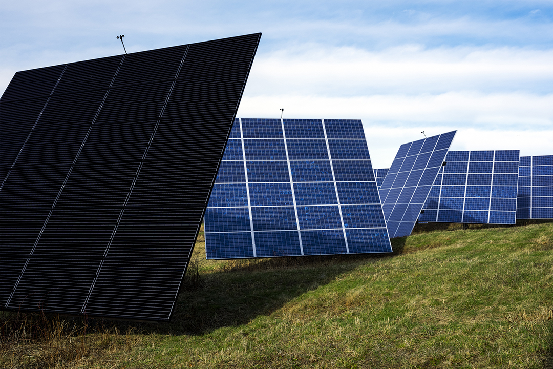 A photo of a series of large solar panels.