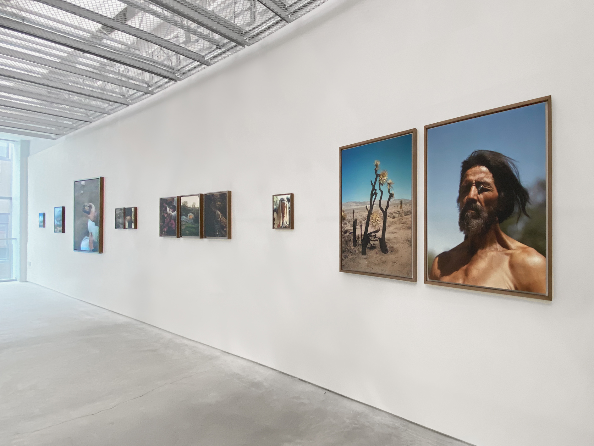 A grouping of photographs on a gallery wall by Greg Halpern. 