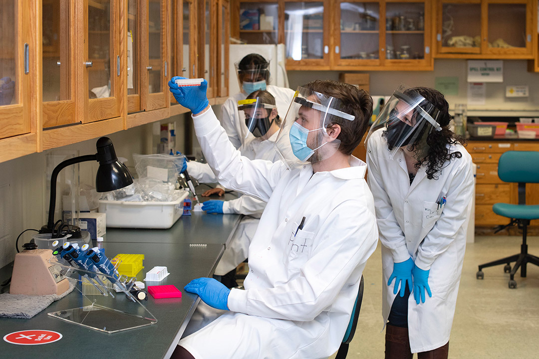 four researchers wearing PPE looking at a sample in a petri dish.