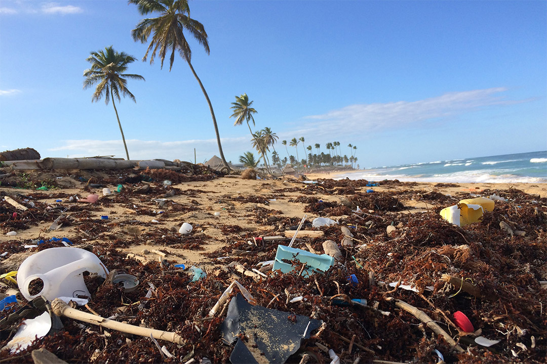 beach littered with plastic debris.