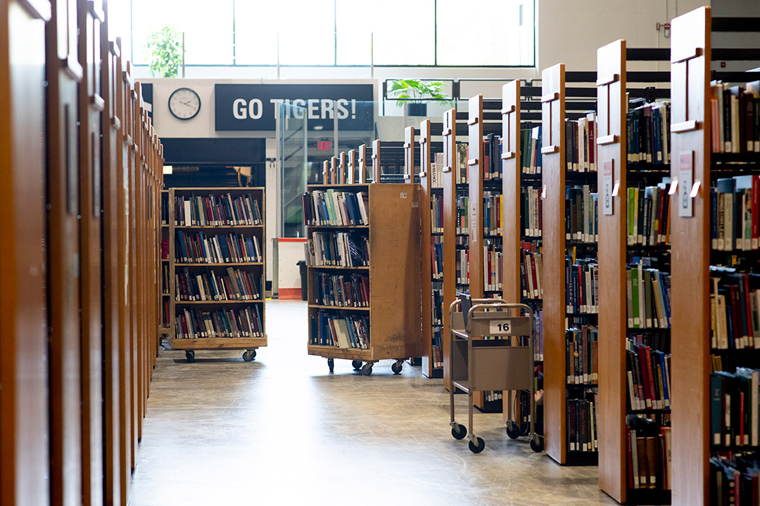 rows of library shelves in an ice arena.