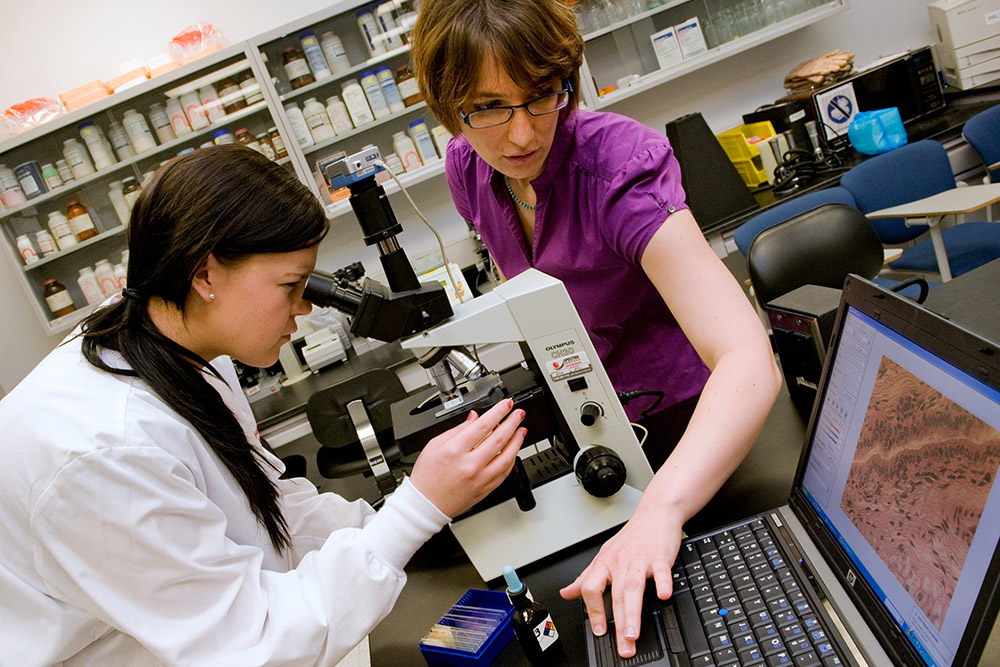 researcher looks into microscope while professor adjusts display on laptop.