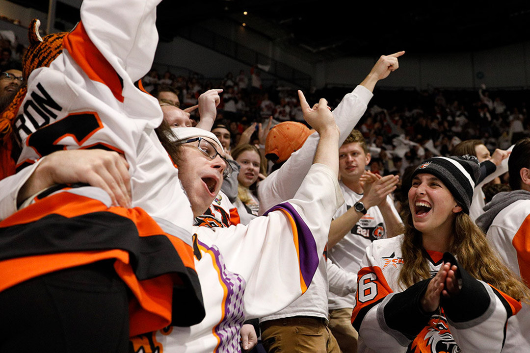 hockey fans cheering at a game.