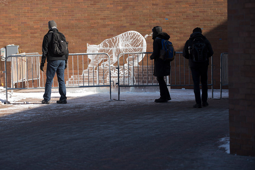 students walking by an ice sculpture of a tiger.