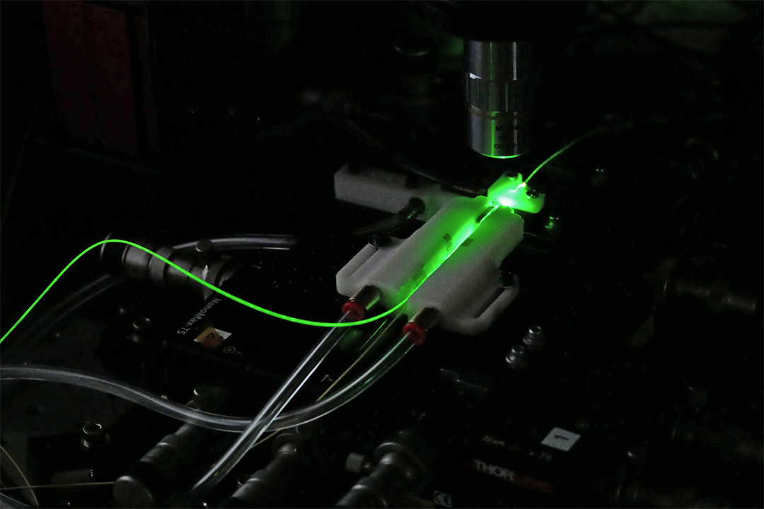 a green laser is used to characterize a new ultra-wideband quantum photonic integrated circuit.
