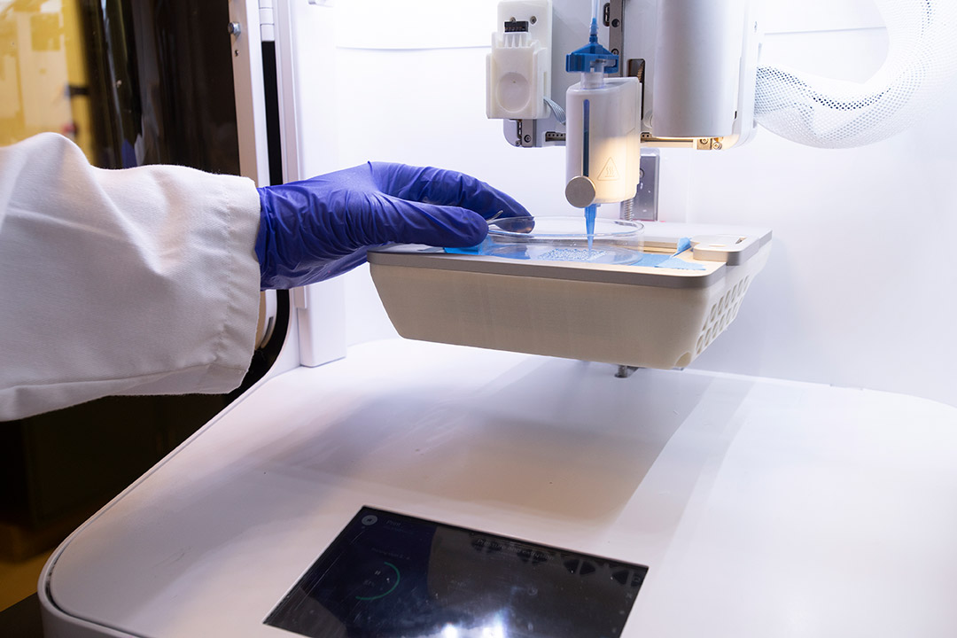 person in a lab holding a Petri dish under a pipette.