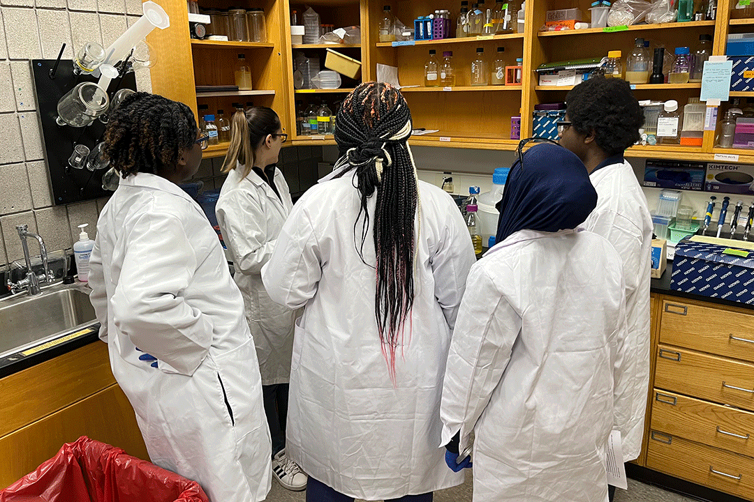 Students from Rochester Prep High School work with faculty members and research professors from the College of Science