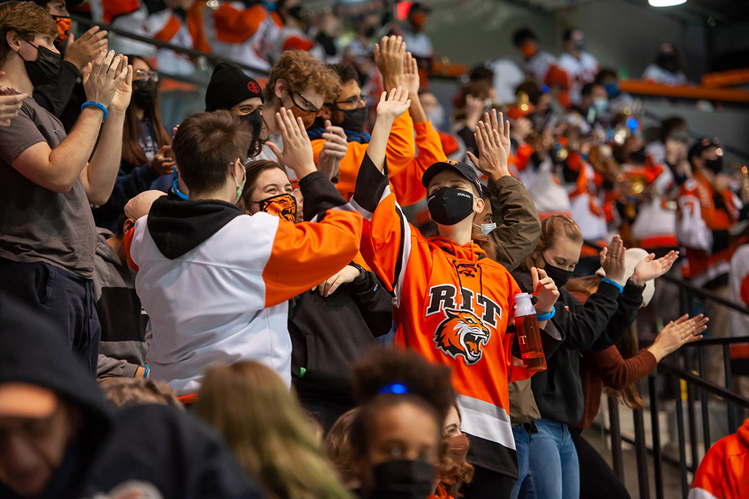 hockey fans cheer and high-five in the stands.