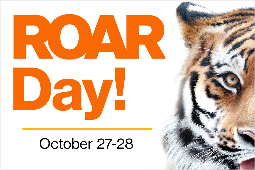 graphic reads, Roar Day, October 27 to 28.