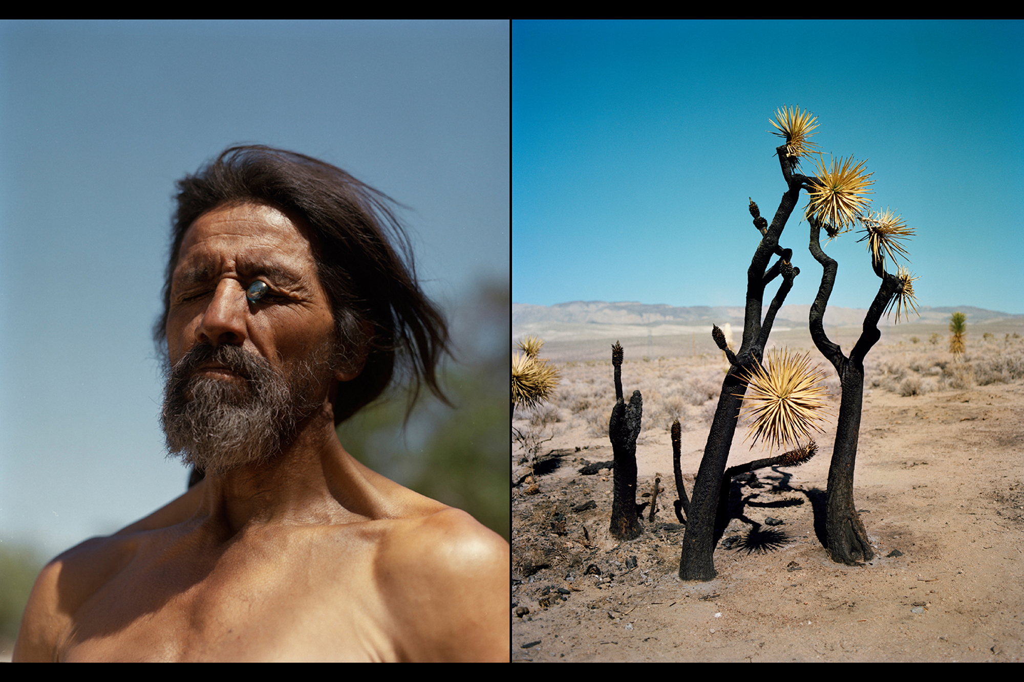 Side by side photos of images by Greg Halpern — one of a shirtless person with an object in their eye, the other of plants in a desert.