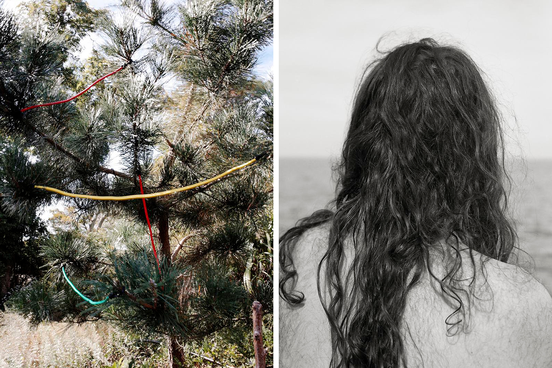 A diptych image of a web of colorful lines hanging from trees and a portrait of the back of a person looking out at a body of water.