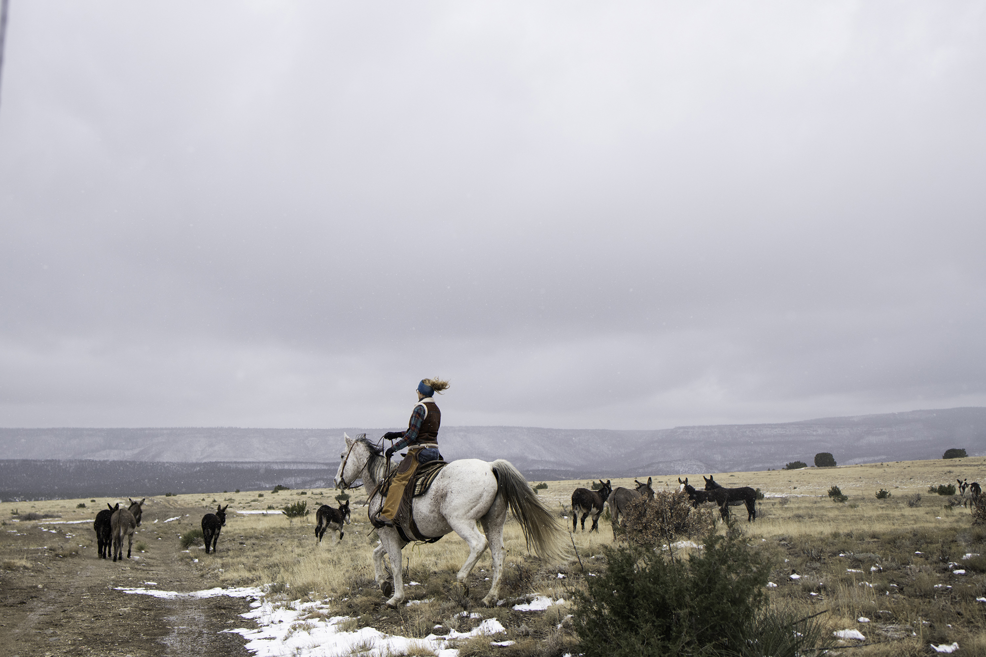 A woman rides a horse on a wide-open range.